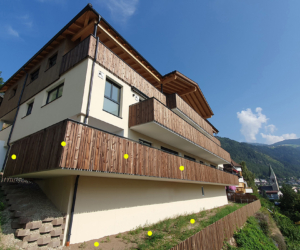 Villastöckelvater (4)