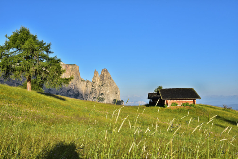 Immobili a Seiser Alm Alto Adige